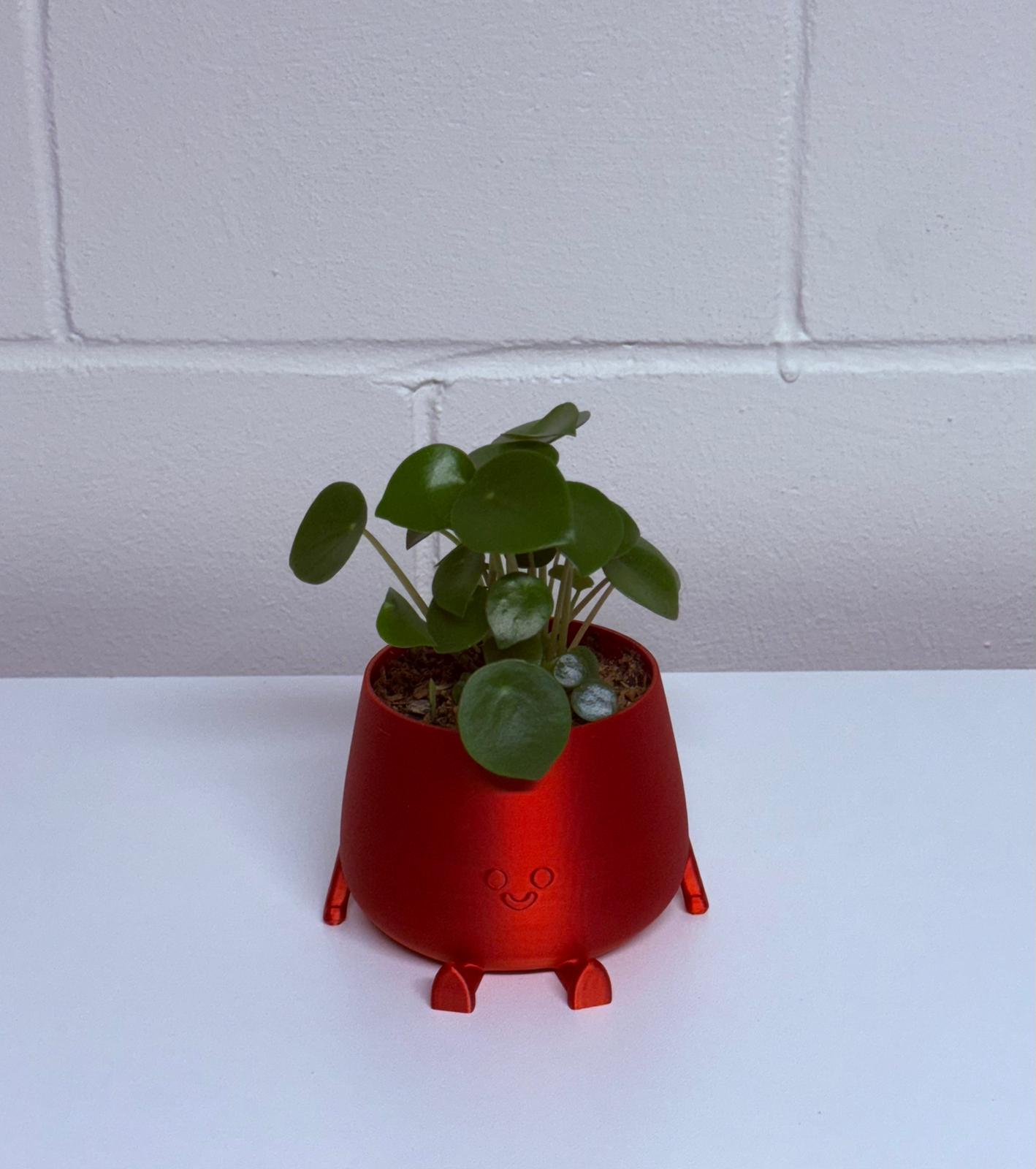 Smile Planter Pot
