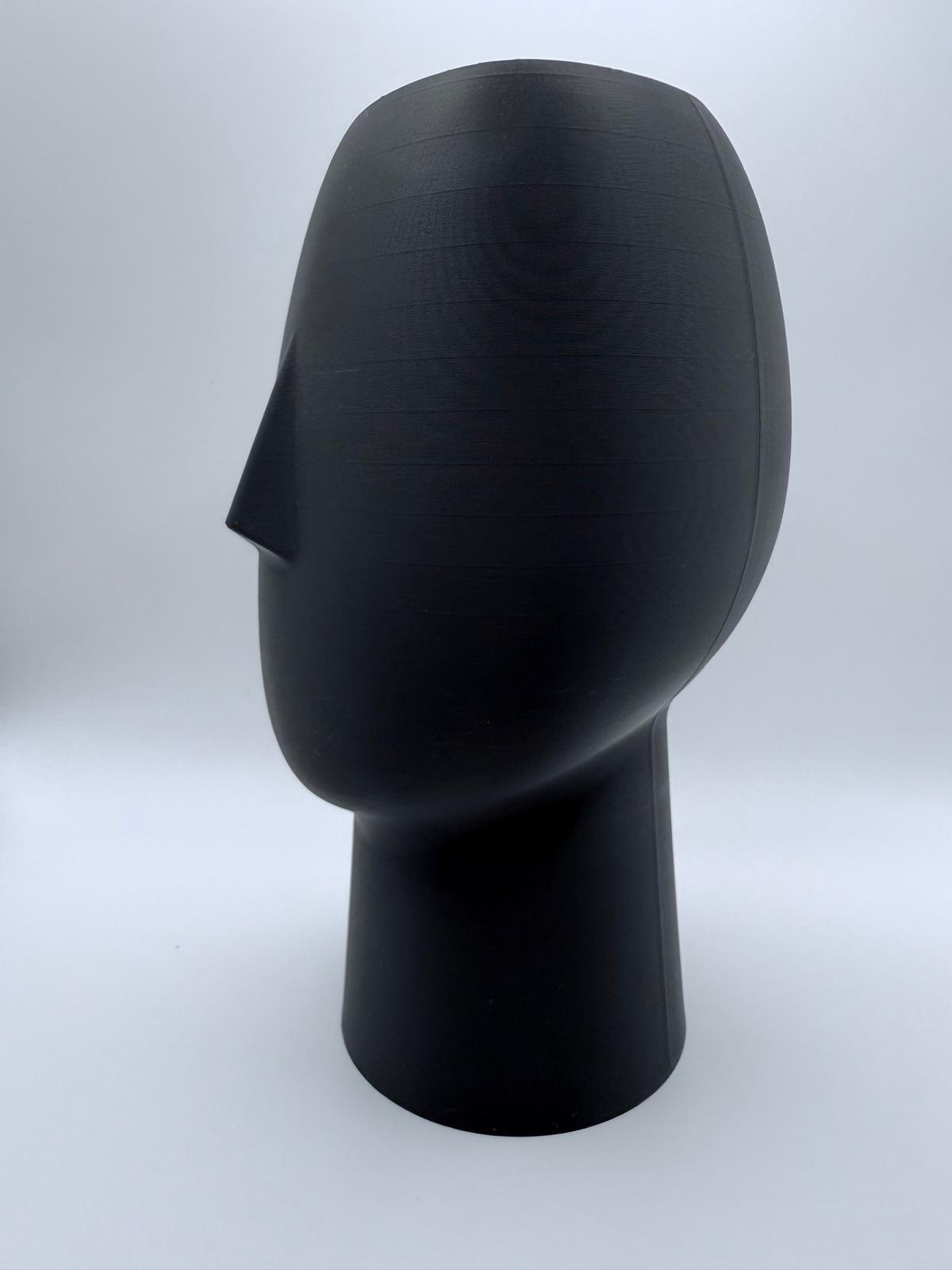 Face Vase
