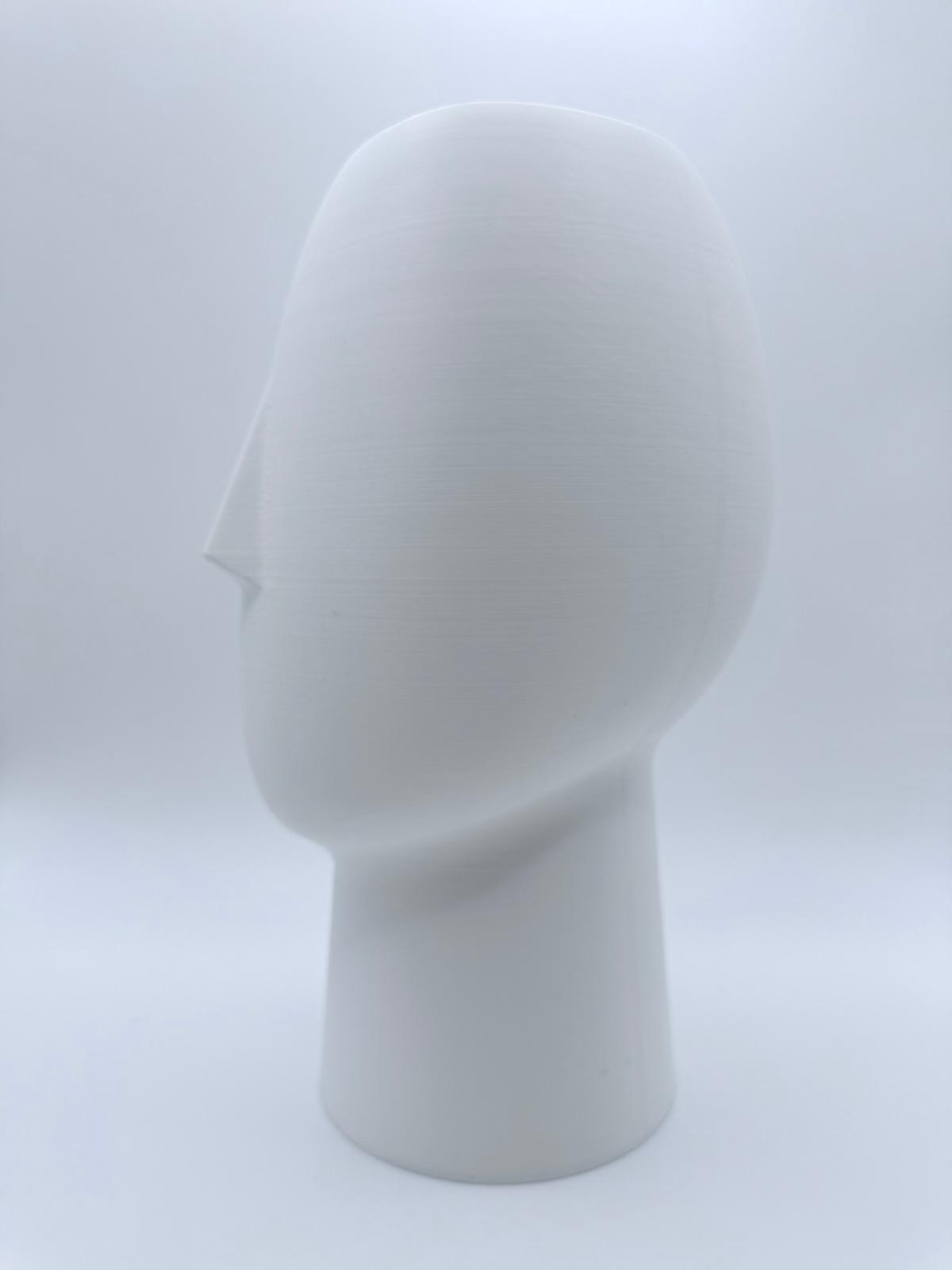 Face Vase