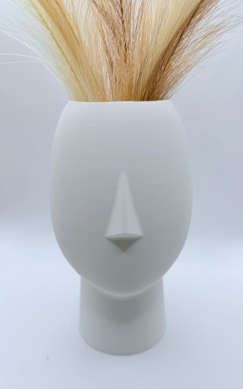 Face Vase