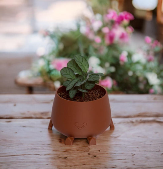 Smile Planter Pot