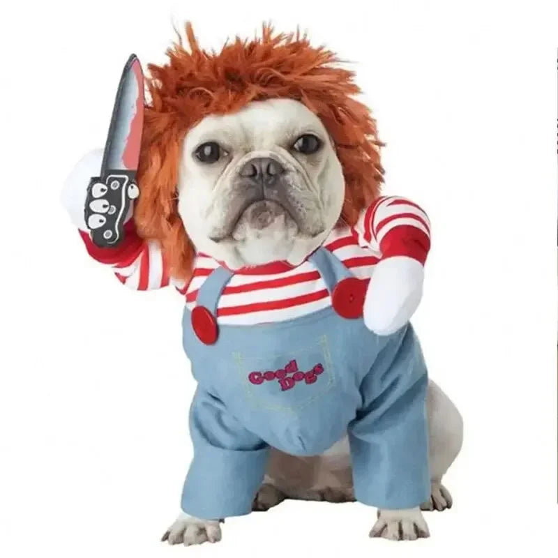 Spooky Pet Costume: Transform your furry friend into a Halloween Dagger-wielding cutie!