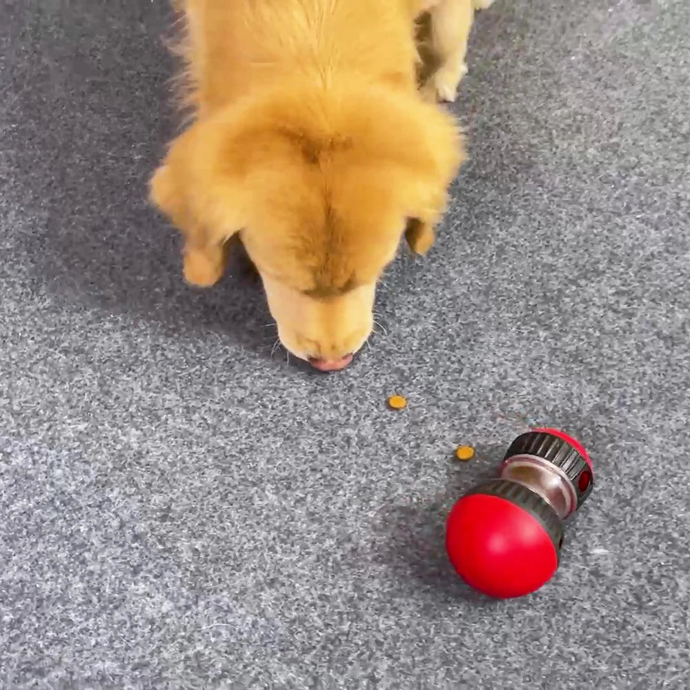 Dog Toy Feeder Training