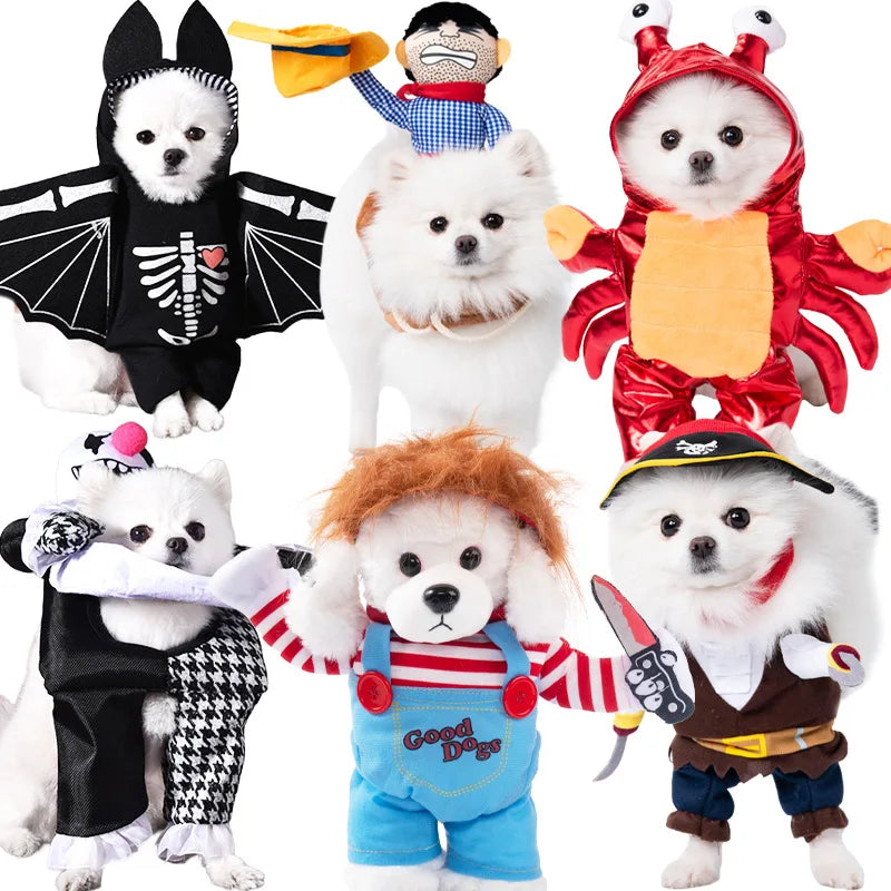 Spooky Pet Costume: Transform your furry friend into a Halloween Dagger-wielding cutie!