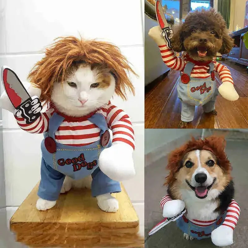 Spooky Pet Costume: Transform your furry friend into a Halloween Dagger-wielding cutie!