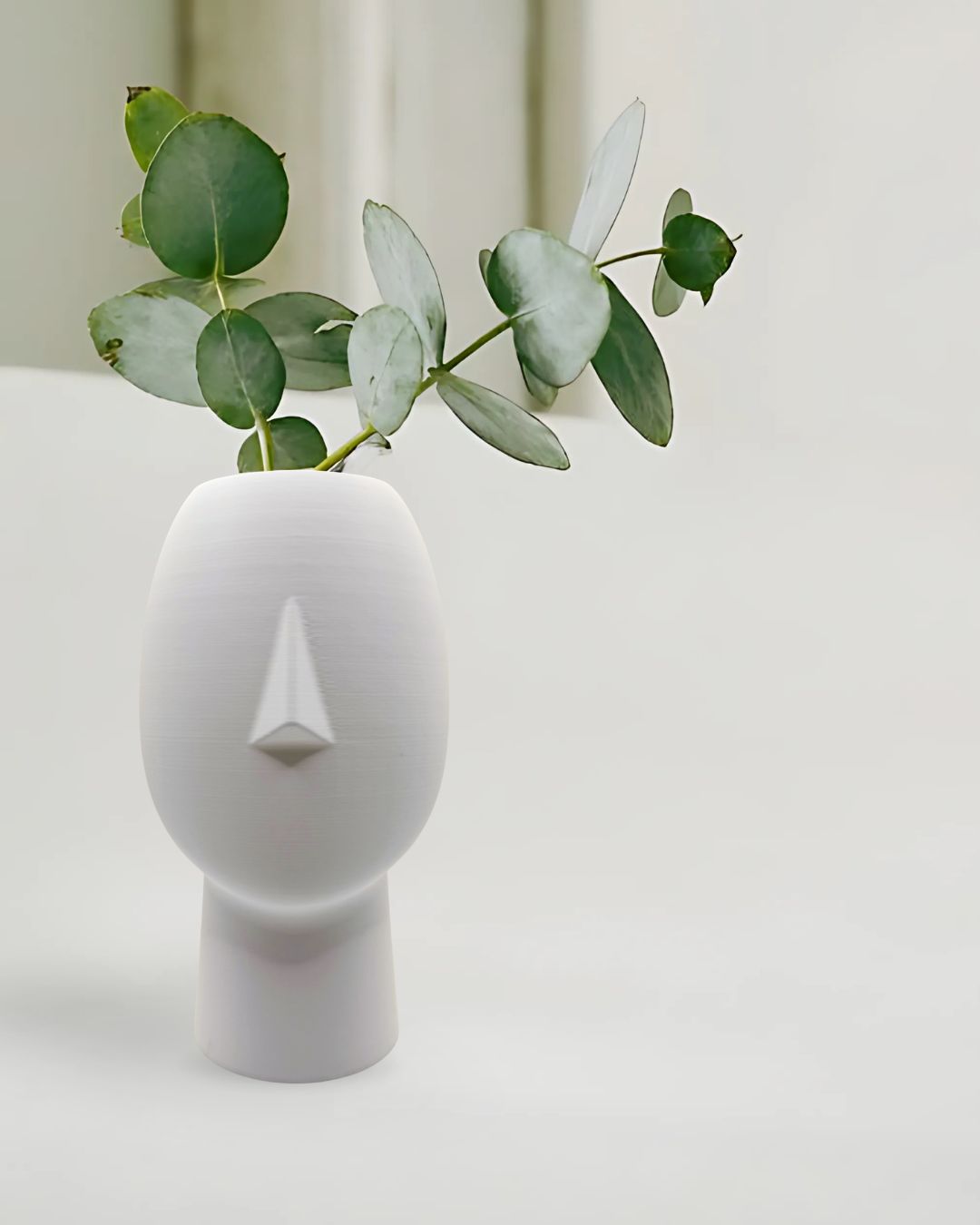 Face Vase