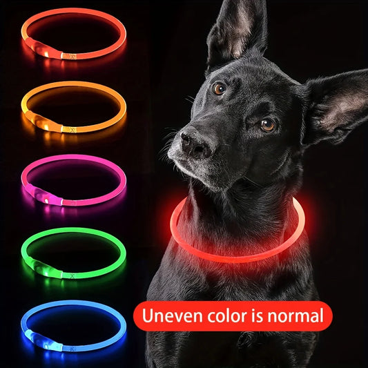 BrightPaw LED Dog Collar