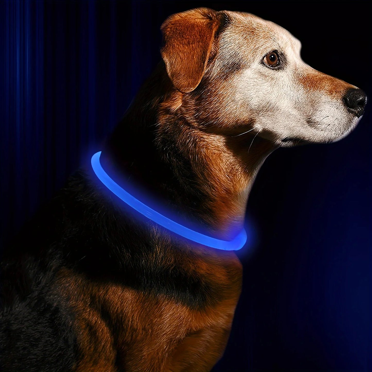 BrightPaw LED Dog Collar