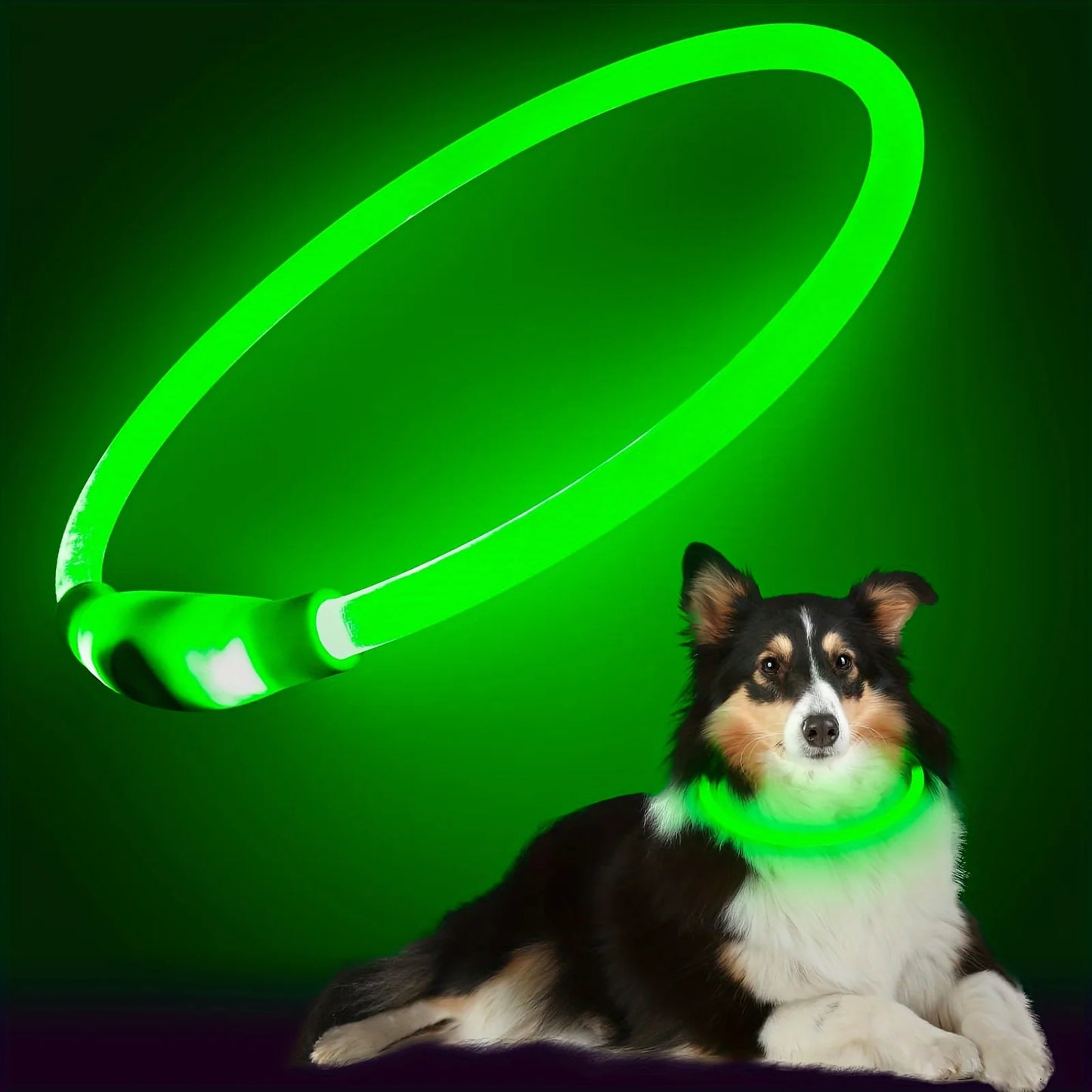 BrightPaw LED Dog Collar